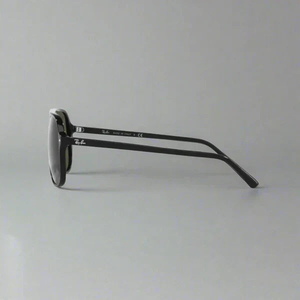 Ray-Ban Bill RB2198 901/31 – Black G-15